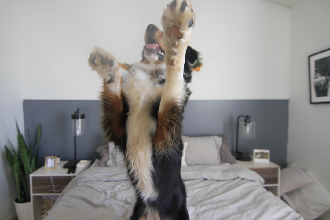 Jumping for joy